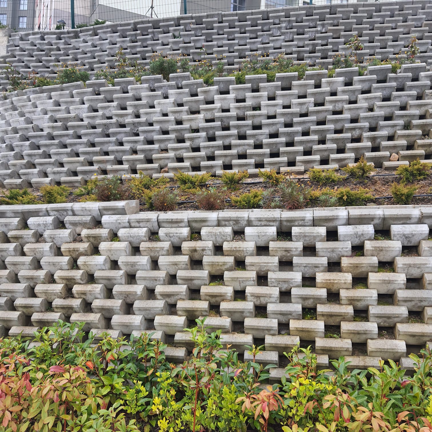 PHOTO-2023-03-01-12-09-35